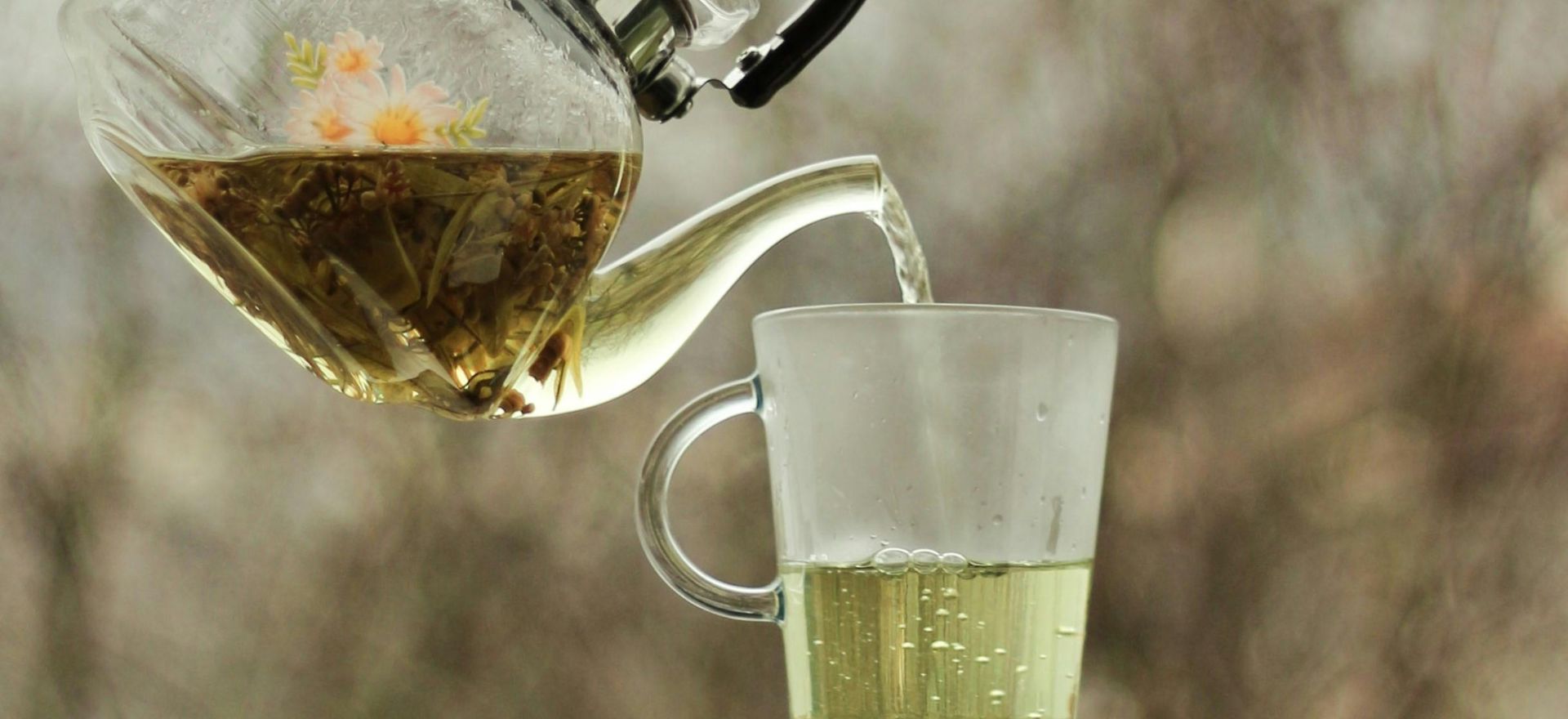 Green Tea for Weight Loss